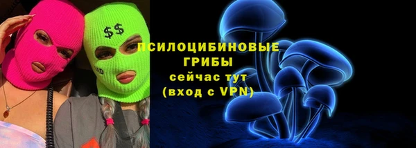 хмурый Заводоуковск