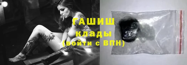 2c-b Ельня