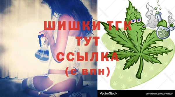 хмурый Заводоуковск