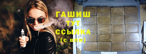 2c-b Ельня