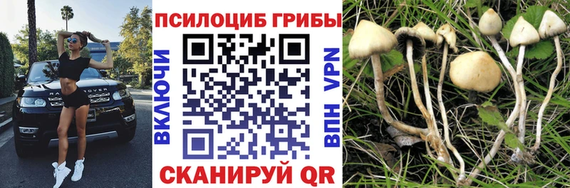 хочу наркоту  Звенигород  Галлюциногенные грибы мухоморы 